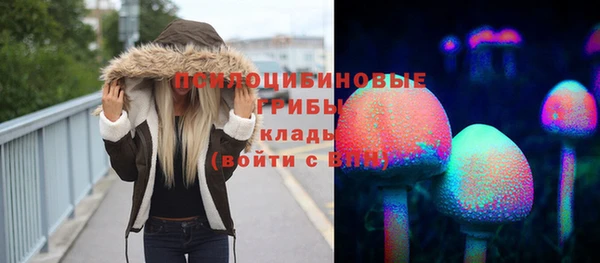 мдпв Мегион