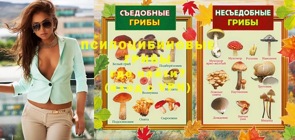 МДПВ Медвежьегорск