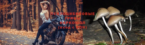 наркотики Абдулино
