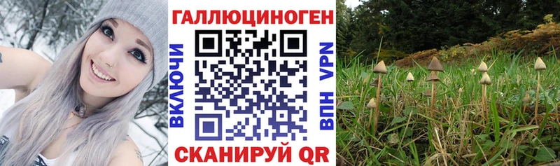 Галлюциногенные грибы мицелий  Вологда 